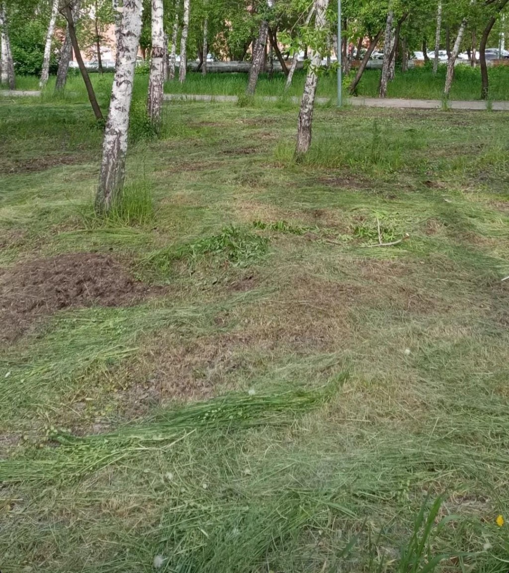 Почему в парке Караганды вместо ровного газона вырвали траву