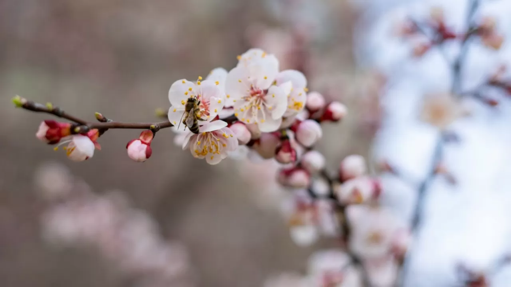 1 мая: какие праздники отмечают в Казахстане и мире