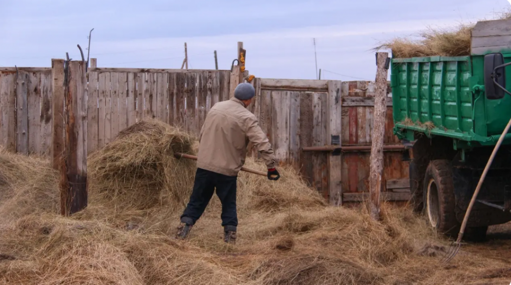 В Казахстане увеличат квоту на привлечение иностранной рабочей силы по разрешениям акиматов