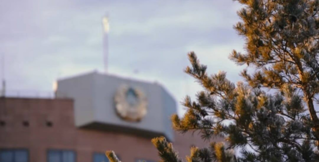 МВД задержало мошенников в сфере перевозки транспорта и грузов