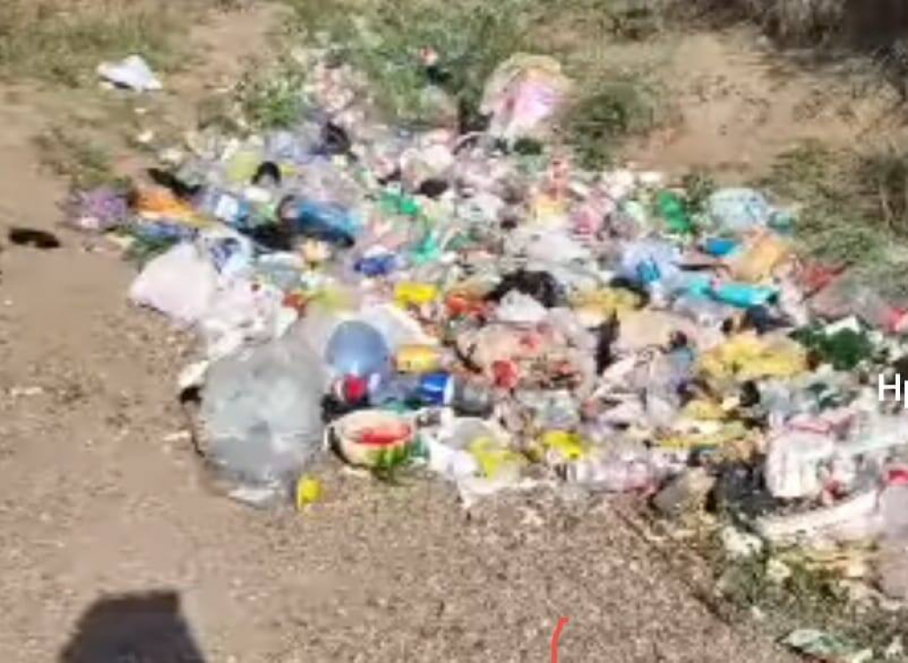 Более 38 тысяч нарушений правил благоустройства пресекли в Карагандинской области