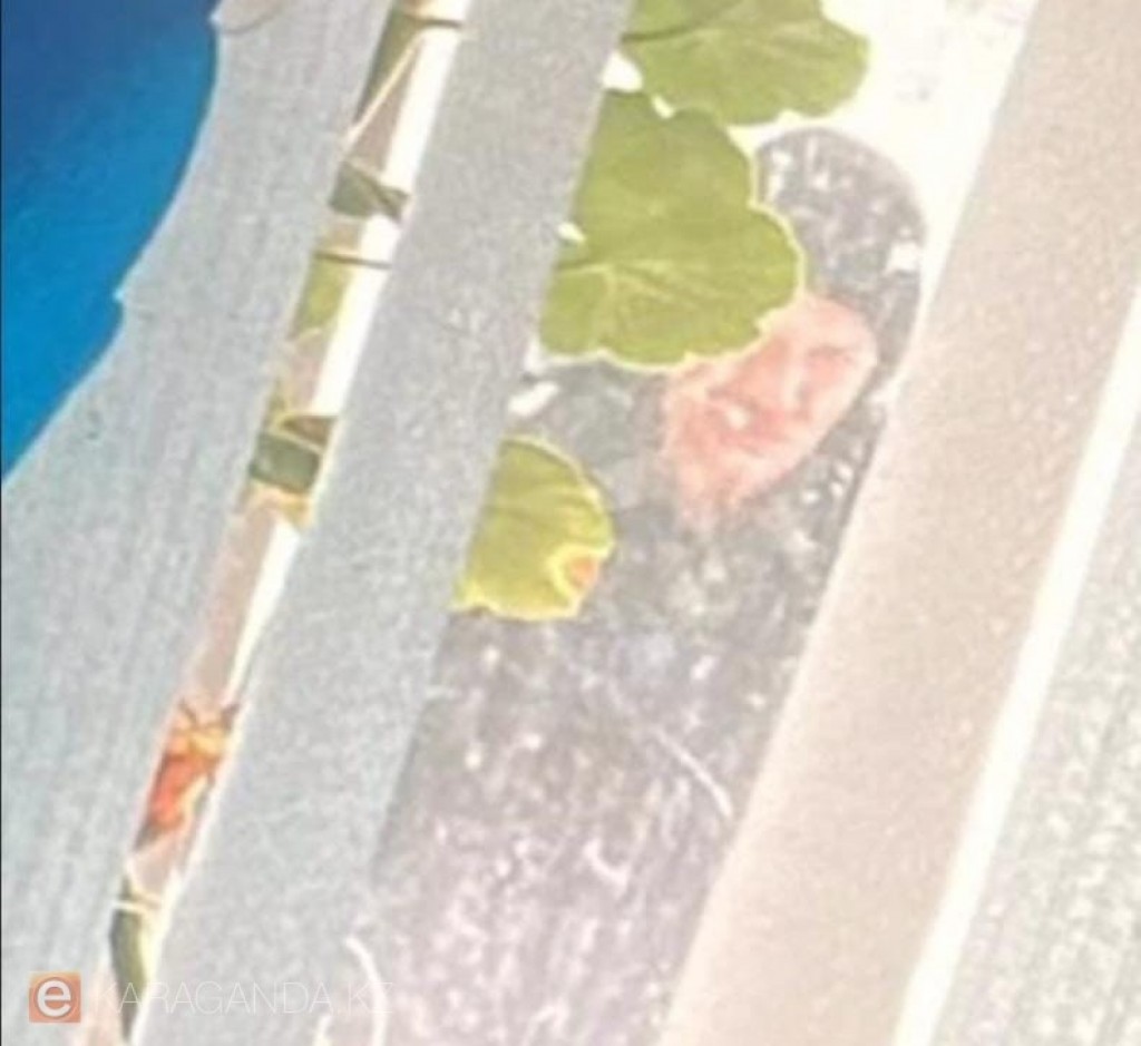 Мектеп терезелеріне қарадым: полиция Қарағандыда бұзық адамды ұстады