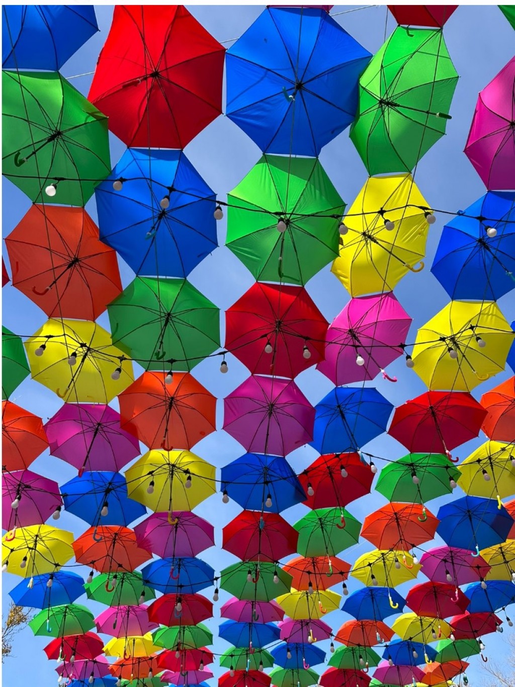 Фотозону из ярких зонтиков завершили в Центральном парке Караганды