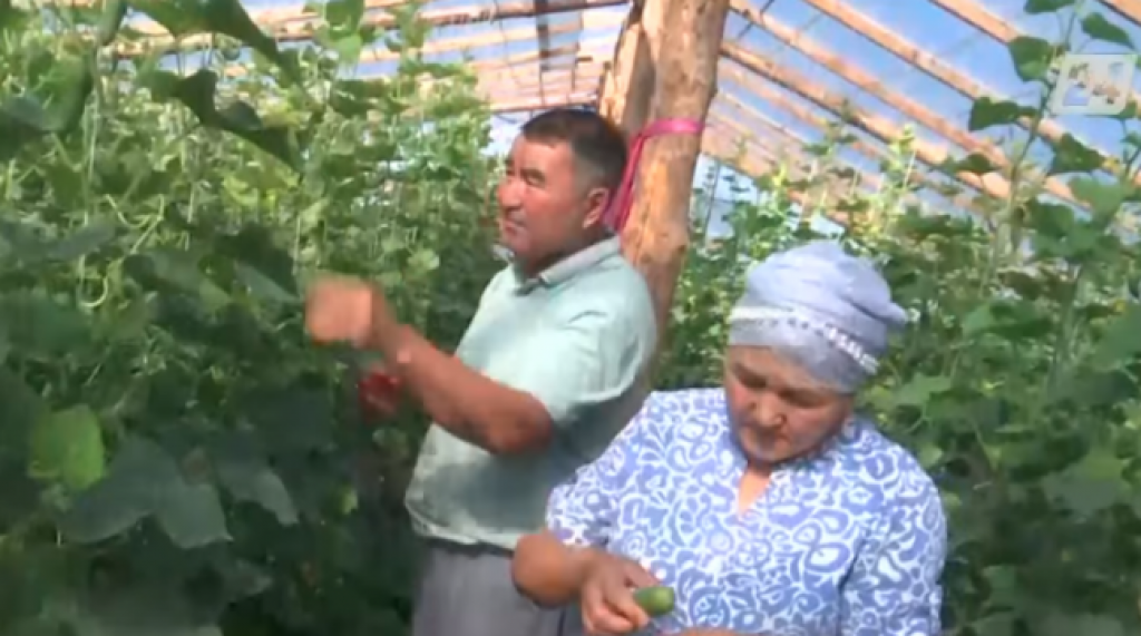 Проработавший 40 лет на железной дороге карагандинец кардинально поменял профессию