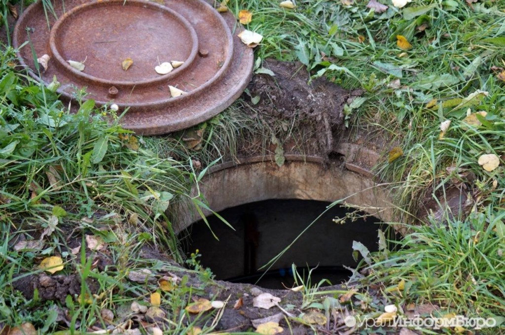 В Сарани спасатели вытащили собаку из колодца