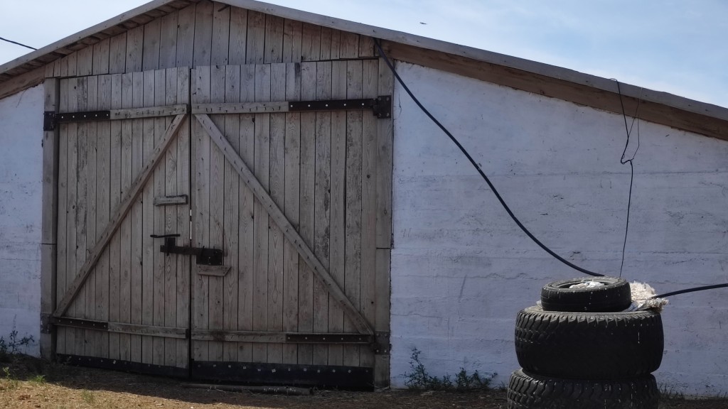 50 тонн мяса в год: в степях Каркаралинского района строят откормочную площадку для скота