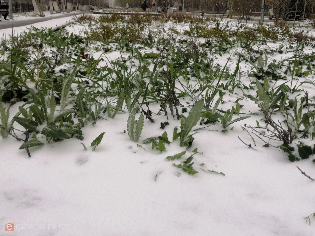 Қар, жел және +8 дейін: 18-19 сәуірде қарағандылықтарды қандай ауа-райы күтеді