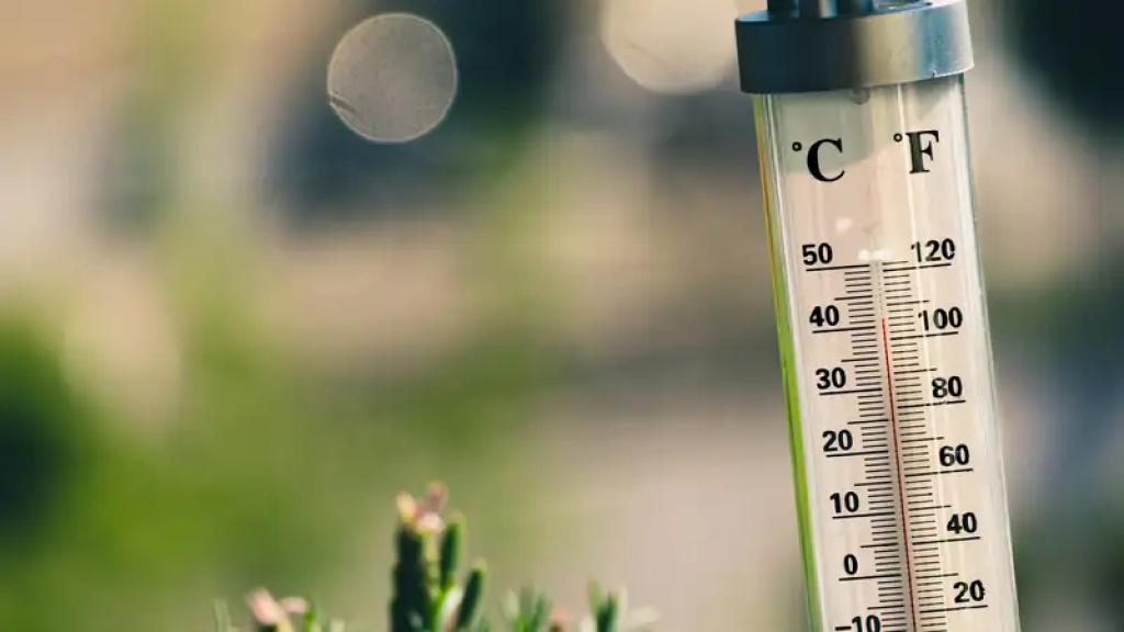 Жара до 43 градусов ожидается в Казахстане