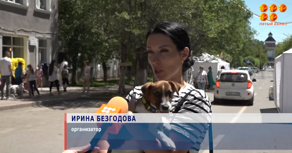 Четвероногая вечеринка: в Караганде прошло Dog party
