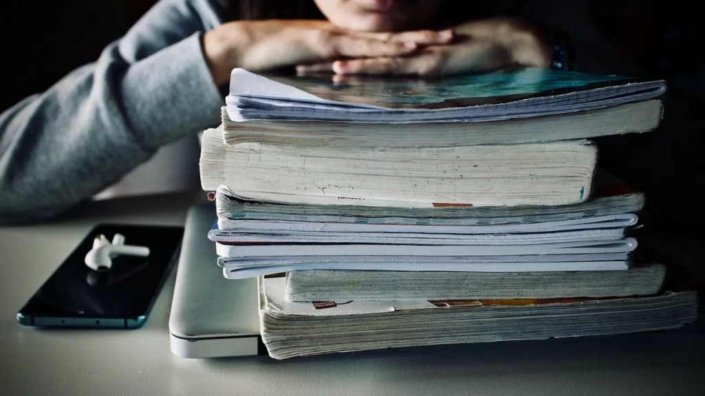 Новые школьные учебники появятся в 2026 году