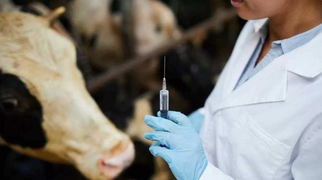 Ветеринарные службы Карагандинской области нуждаются в молодых специалистах