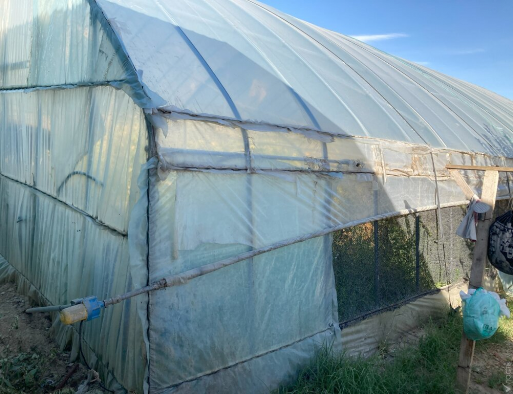 Для дачных хозяйств в Казахстане создадут условия для развития