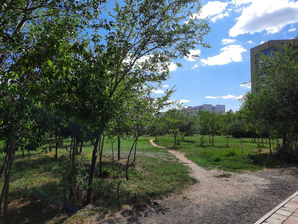 Сажают много, приживается мало: озеленение сквера за бывшим кинотеатром Ленина обсудили в Караганде