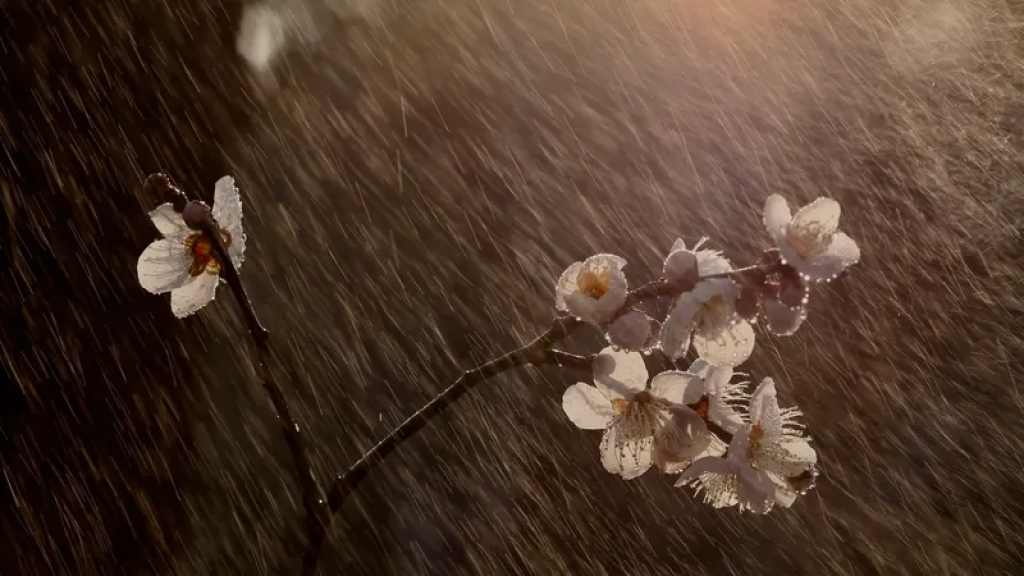 Жара до +38°С и сильные дожди надвигаются на Казахстан