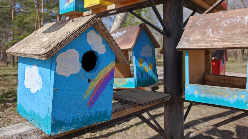 Конкурс на лучший скворечник проводят в Центральном парке Караганды