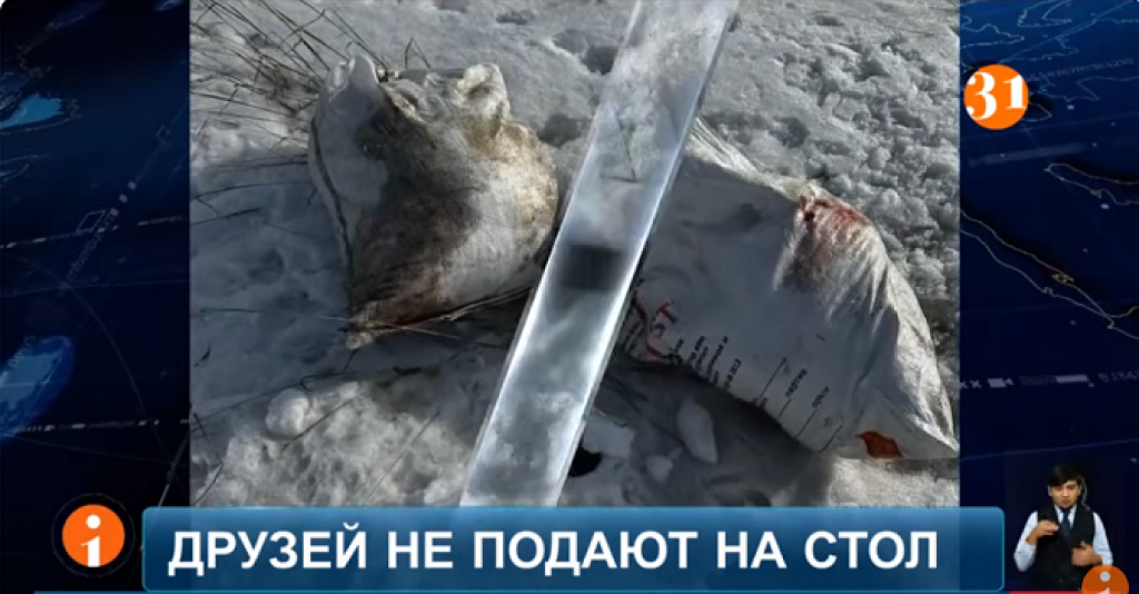 Жительницы Караганды, обнаружили у дороги несколько мешков, набитых собачьими головами и лапами