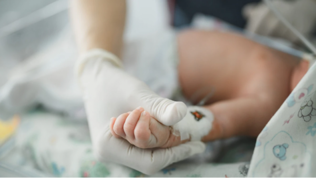 Тәтемнің қисық бөксесінің суреті