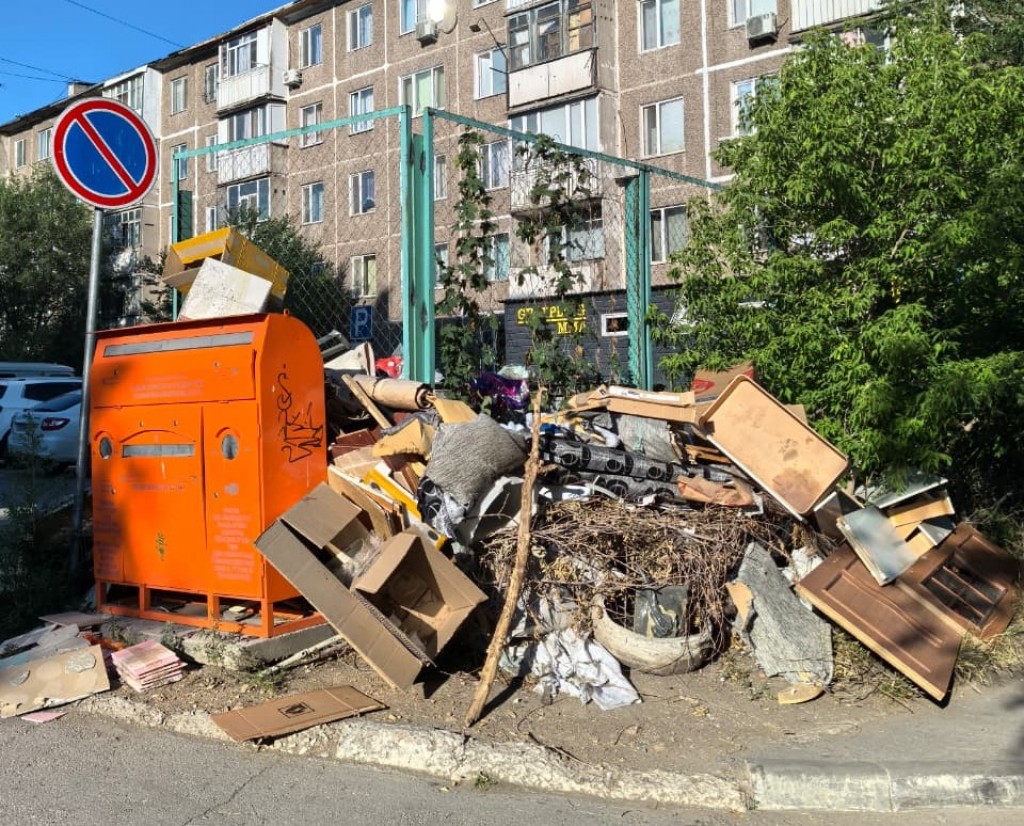 Новый аким Темиртау поручил разобраться с крысами, мусором и бизнесом