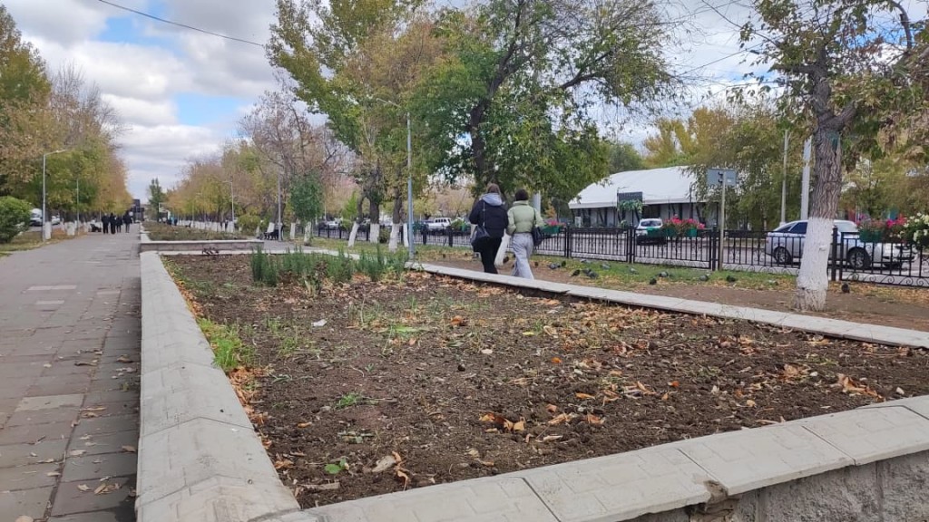 В Караганде начали выкапывать однолетние цветы: клумбы готовят к зиме