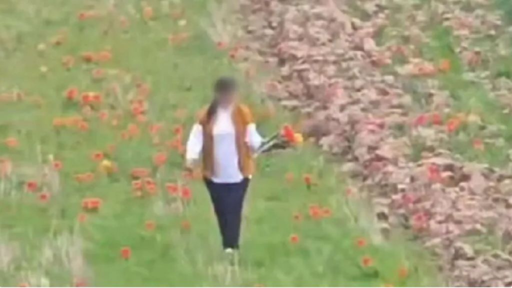 Штраф в 12 млн тенге за сорванные тюльпаны прокомментировали в Генпрокуратуре