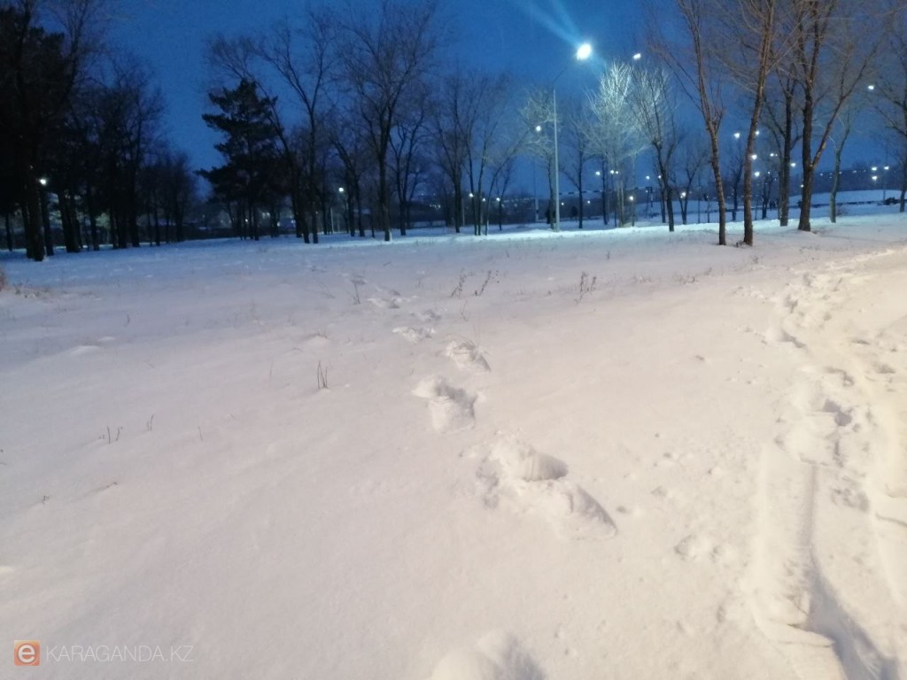 Снегопады и морозы до -28 градусов – синоптики о погоде в Казахстане на 16-18 декабря