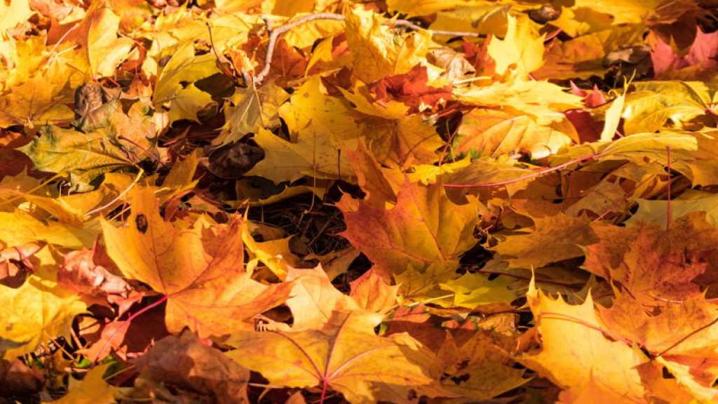 Циклон принесет в Казахстан неустойчивый характер погоды в ближайшие три дня