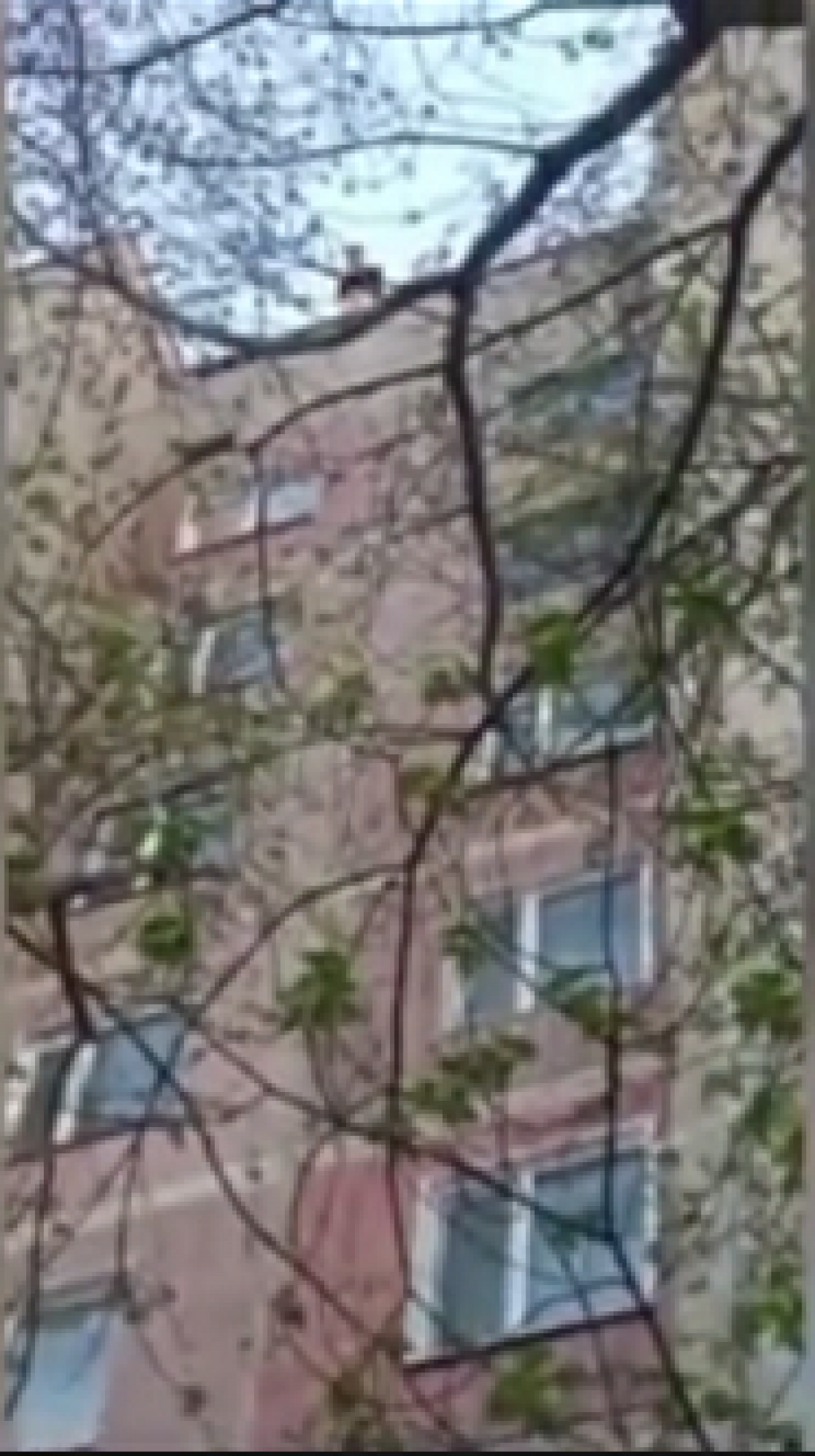 Девушка пыталась сброситься с девятиэтажки из-за ссоры с парнем в Караганде