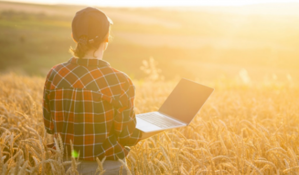 Бизнес на селе сможет получать займы без залога