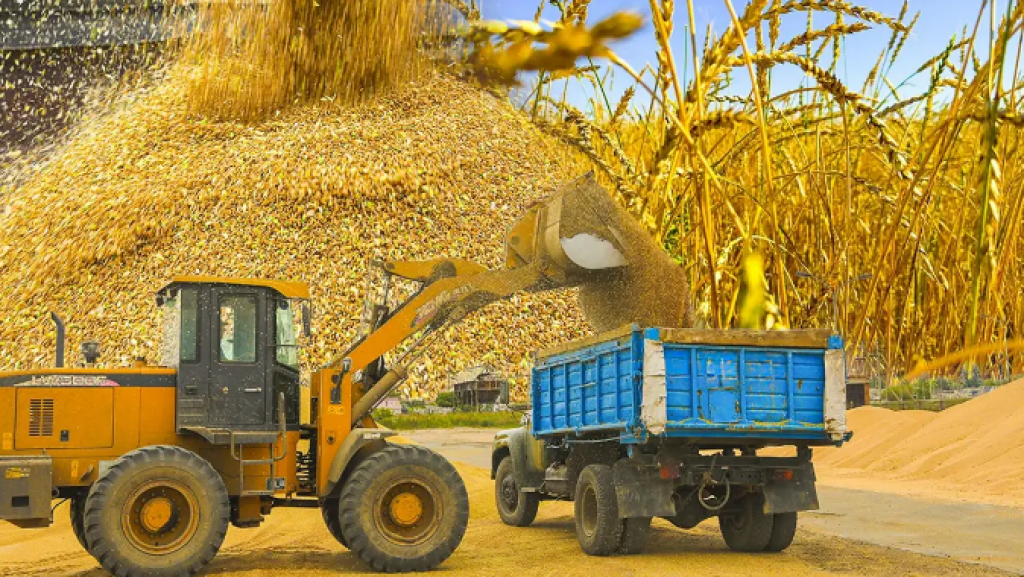 Почему выделенные агропрому субсидии не доходят до фермеров