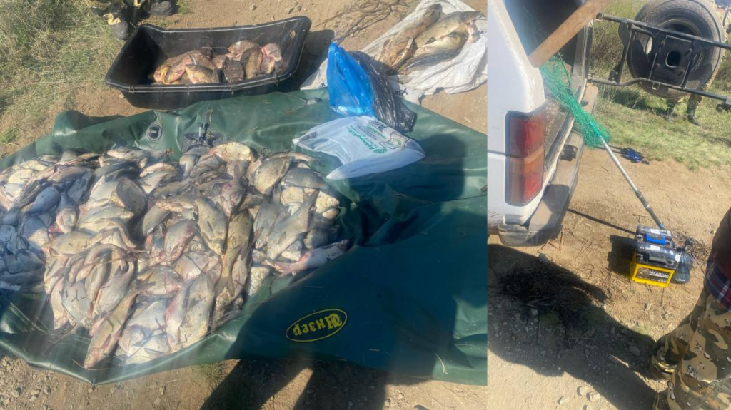 Полиция задержала карагандинца с рыбой в период нереста