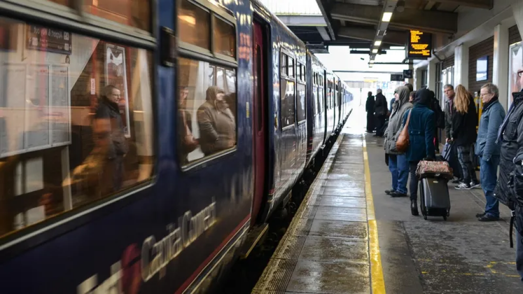 Правила перевозки питомцев в поездах Казахстана: что важно знать