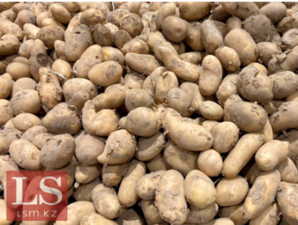 Фермеры подняли цены на картофель и огурцы