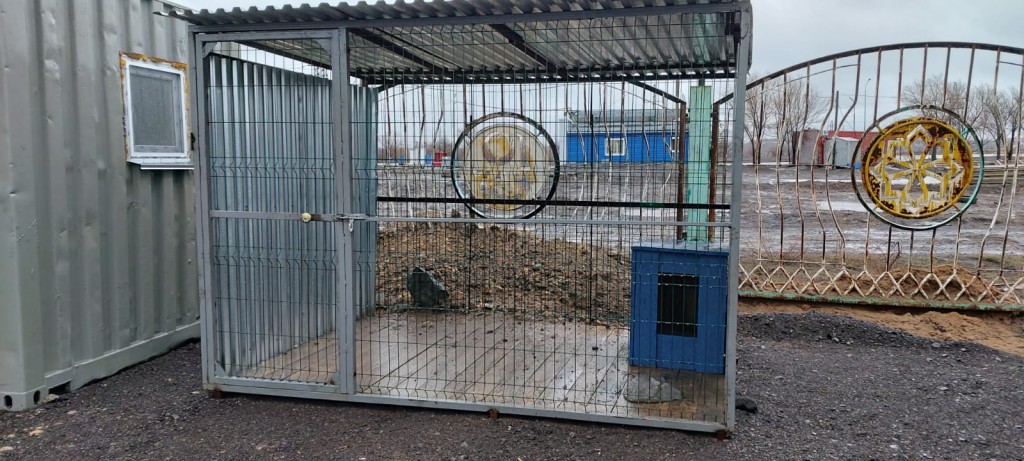 Есть замечания: в Караганде центр временного содержания для бездомных животных посетили общественники