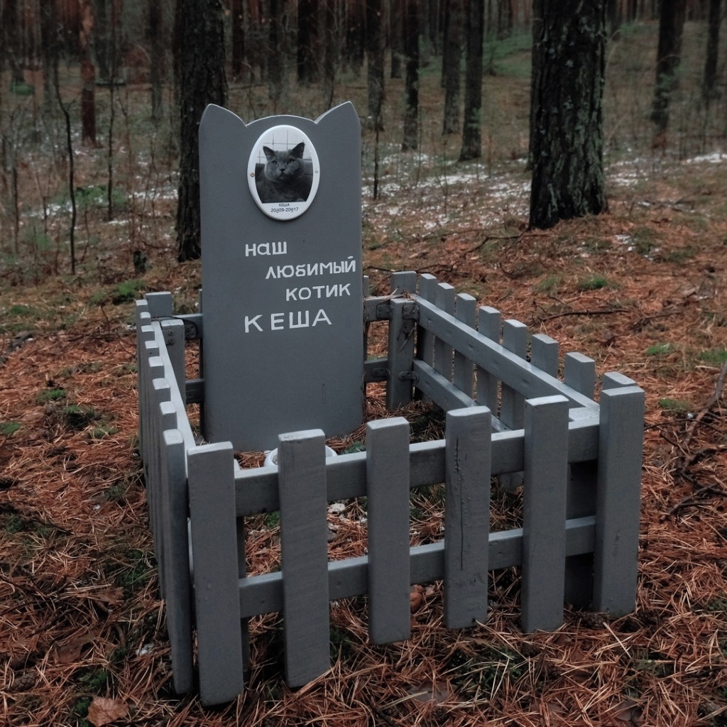 Кладбище домашних животных: почему его нет в Караганде и где хоронить питомцев