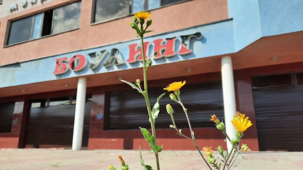 Заброшки в центре города. Что происходит с когда-то популярными карагандинскими заведениями