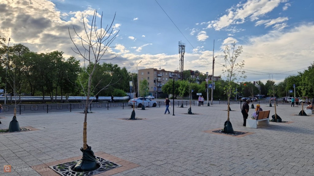 В одном из скверов Караганды начали «гормональную терапию» для деревьев