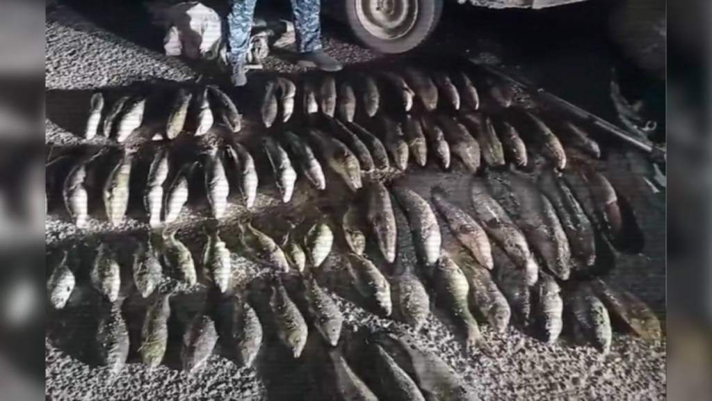 ОПМ «Браконьер»: к ответственности привлечены более 4 тысяч правонарушителей