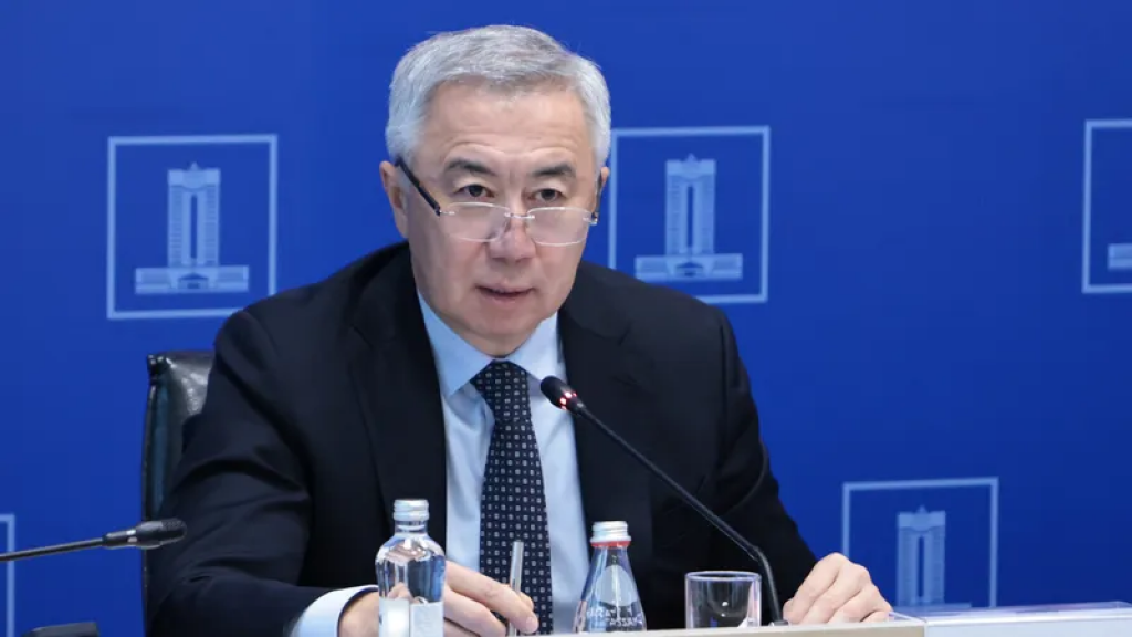 Глава Минэкономики рассказал, какими будут ставки ИПН