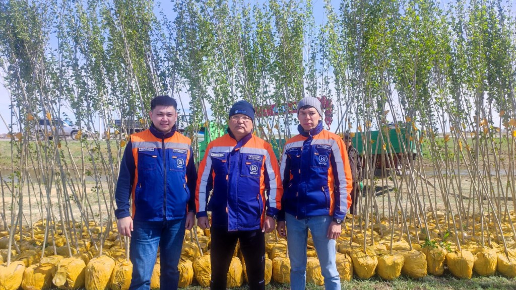 Компания BI Group подарила Караганде 1000 пирамидальных тополей