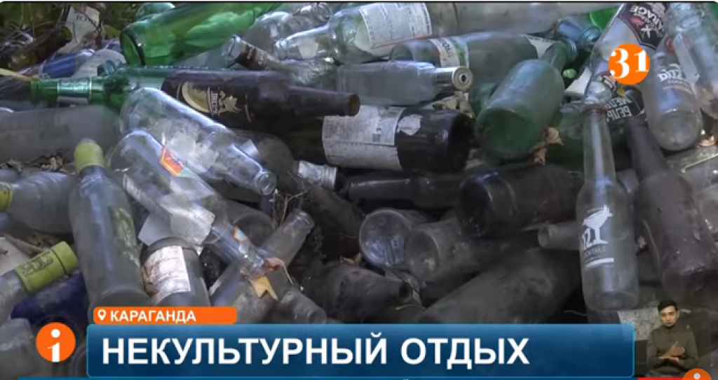 Ерлі-зайыптылар орманда туристер қалдырған шыны ыдыстың бүкіл жүк көлігін жинады