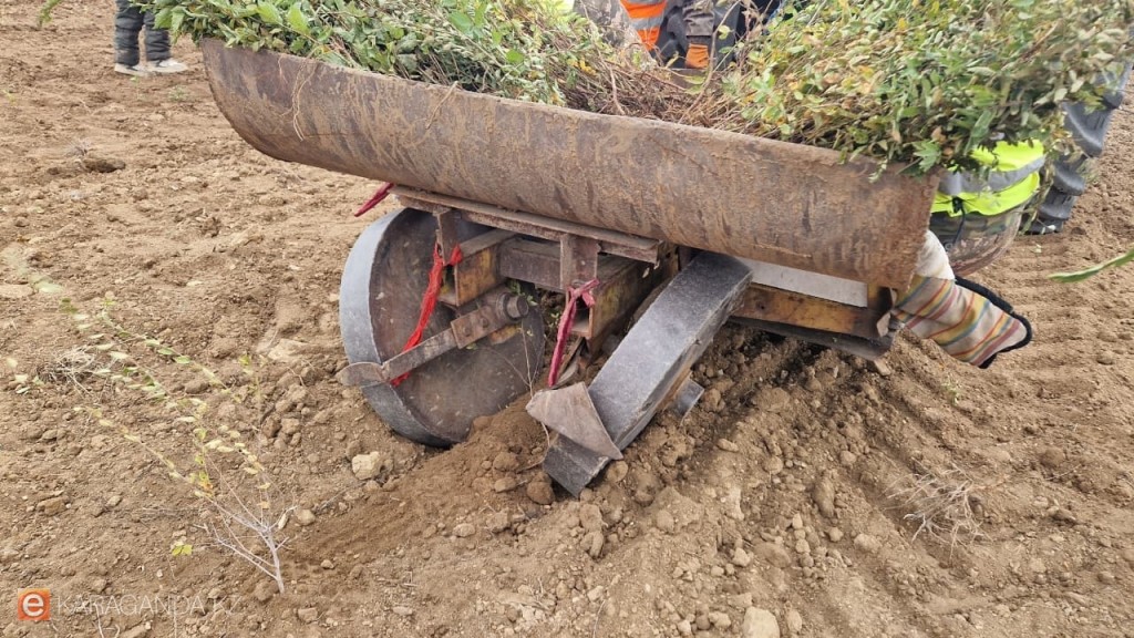 Более 8 тысяч сельхозпроизводителей получили поддержку от государства в 2025 году