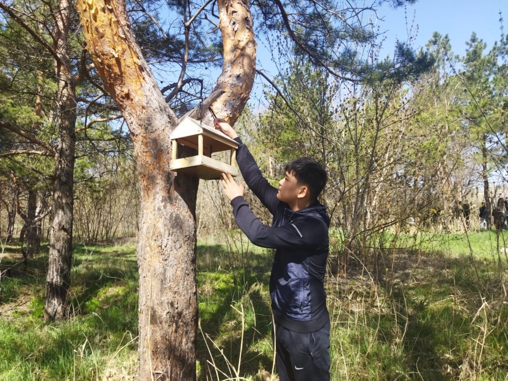Строительный бум для пернатых в Караганде