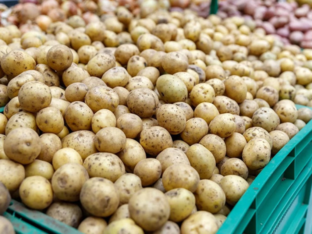 Хороший картофель на прилавках супермаркетов Караганды. Чья заслуга?