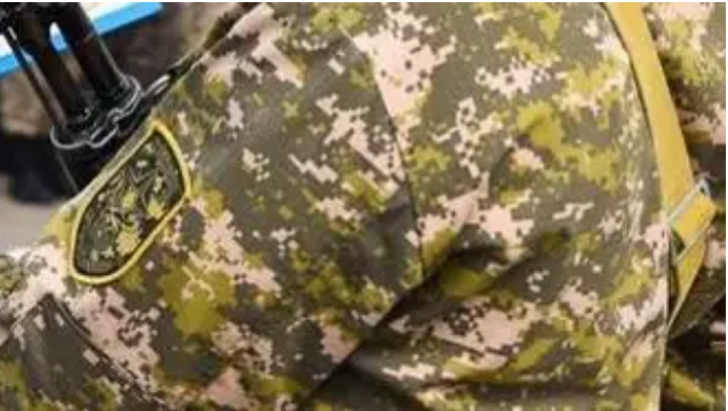 Формирования самообороны и добровольцы могут появиться в Казахстане