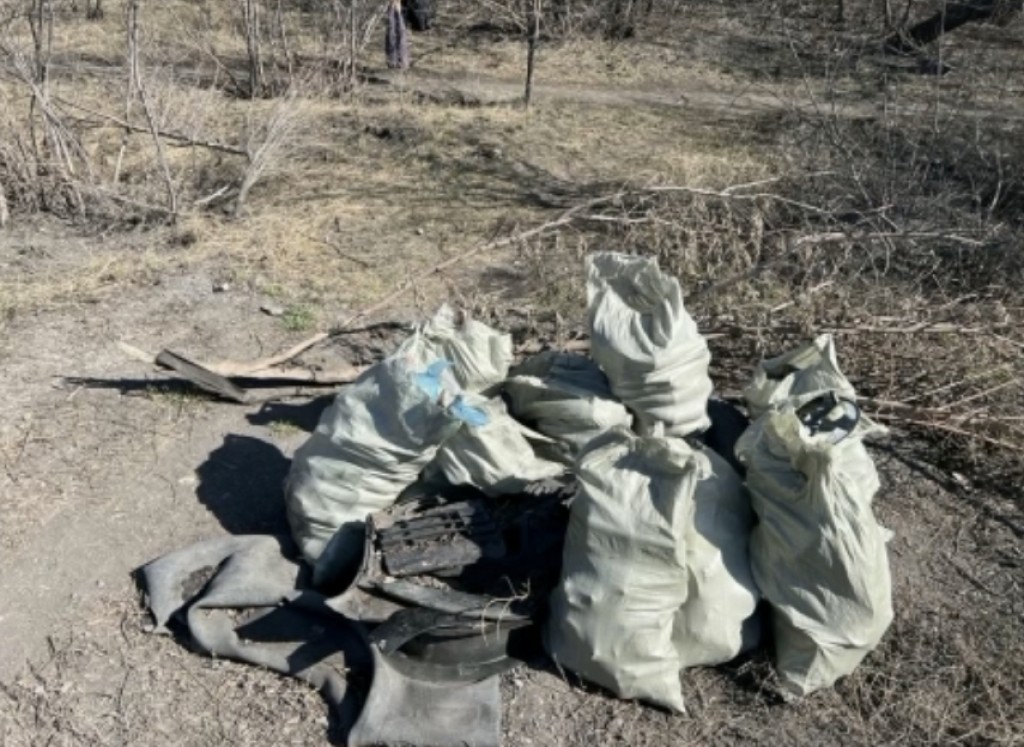 «В ваших дворах убирать мы не будем», - аким Караганды