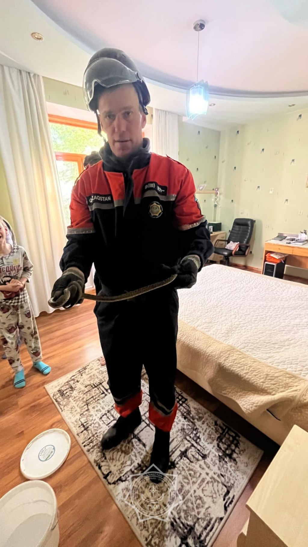 В одну из квартир города Абай заползла змея