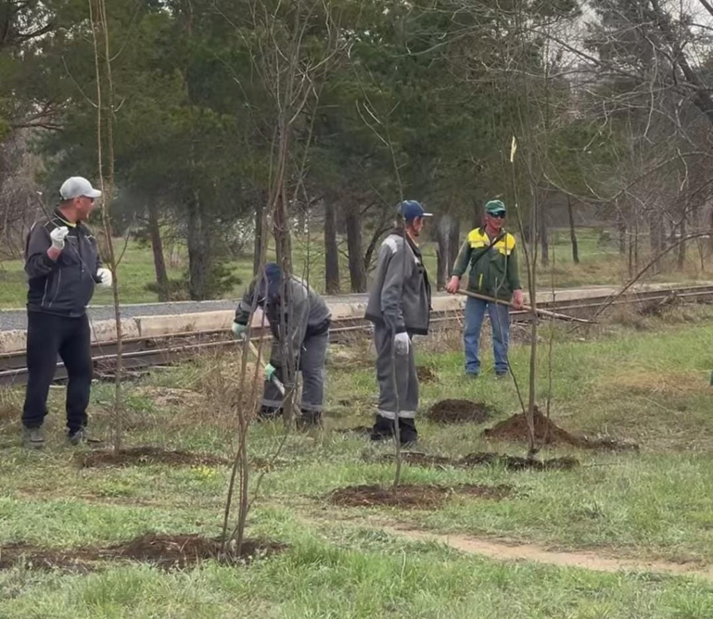В Караганде начали высаживать яблоневый сад
