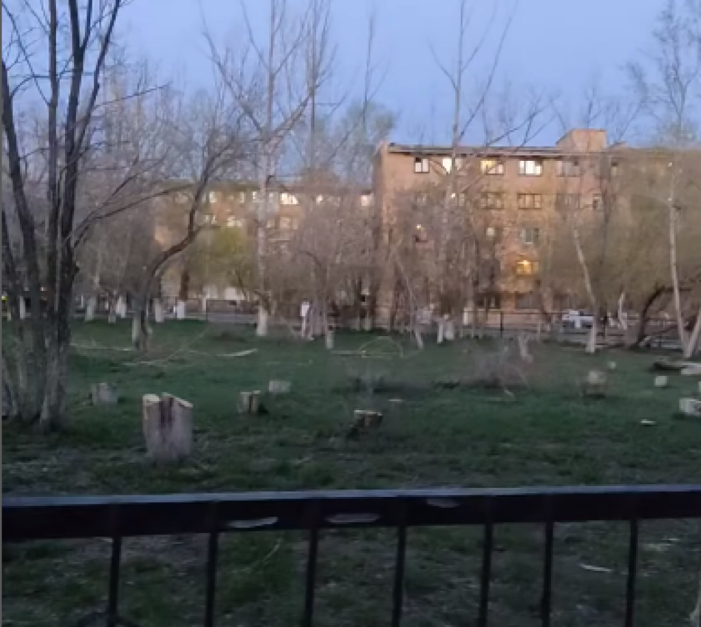 В Караганде перед гимназией № 97 вырубили деревья