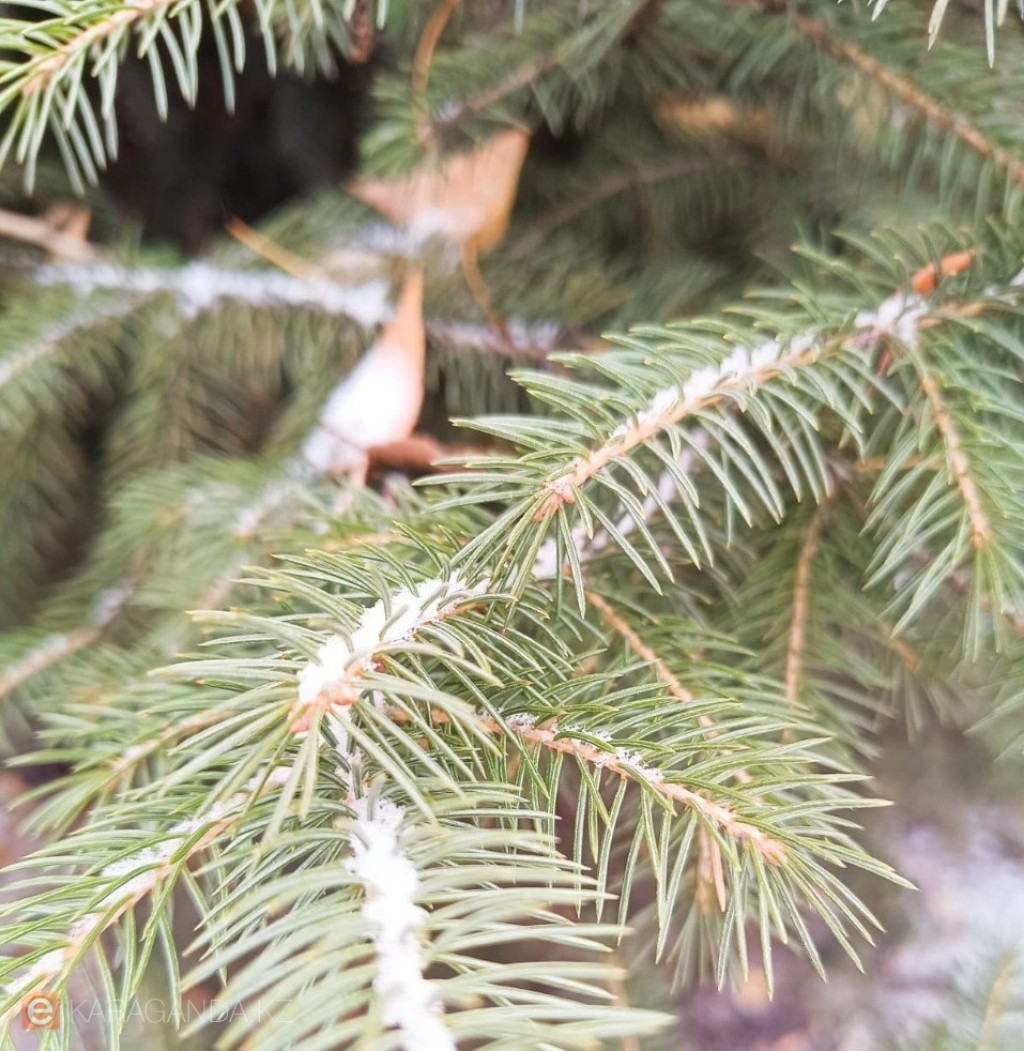 Морозы уходят: Казахстан ждет потепление до +8°С