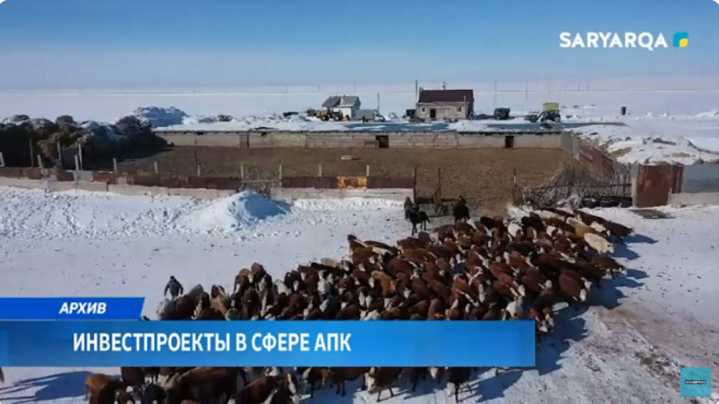 Инвестпроекты в сфере АПК: в Карагандинском регионе создадут более тысячи рабочих мест